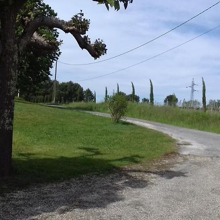 Gite Lieu Dit Gautier Civrac-de-Blaye Kültér fotó