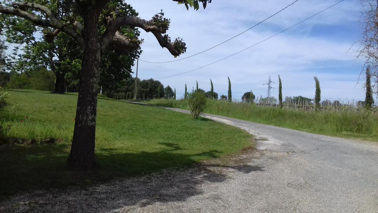 Gite Lieu Dit Gautier Civrac-de-Blaye Kültér fotó